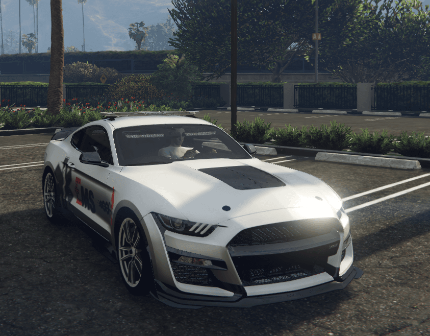 Ford Mustang EMS