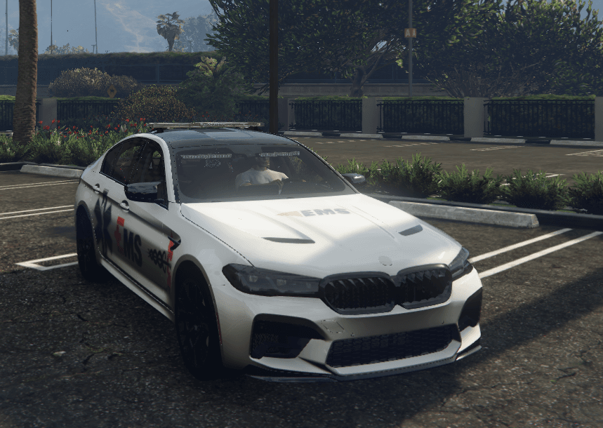 BMW M5 EMS