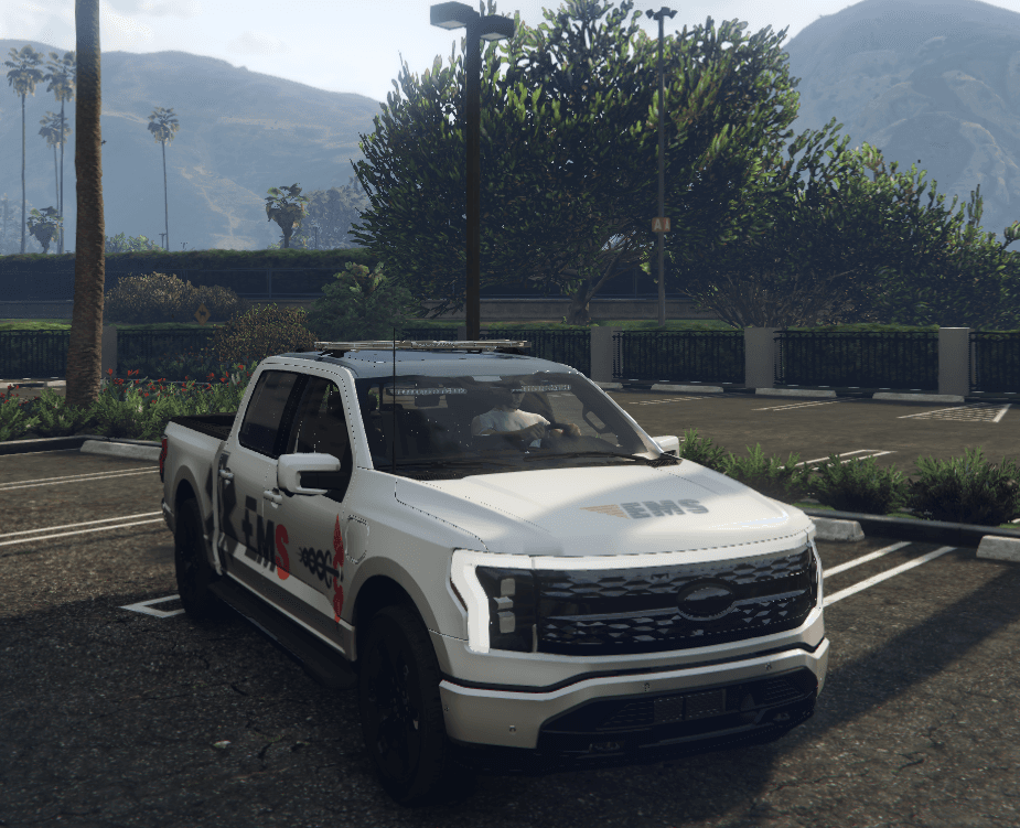 Ford F-150 EMS